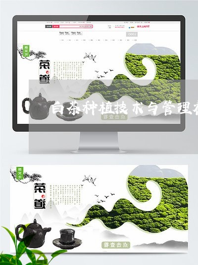 白茶种植技术与管理视频/2023103122594