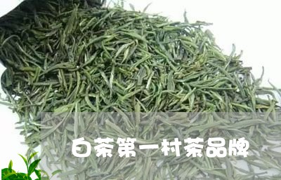 白茶第一村茶品牌/2023080320705