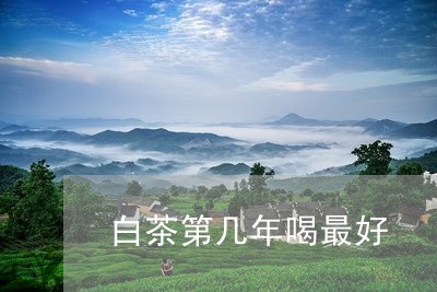 白茶第几年喝最好/2023080323048