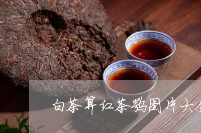 白茶算红茶嘛图片大全高清/2023110761936