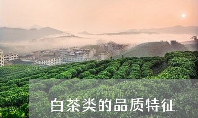 白茶类的品质特征/2023080341815