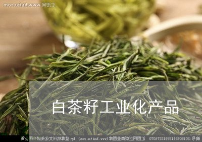 白茶籽工业化产品/2023080398573