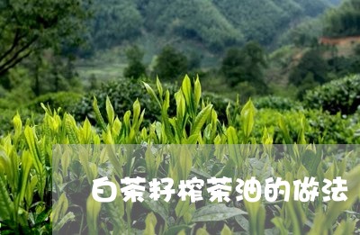 白茶籽榨茶油的做法/2023072440593