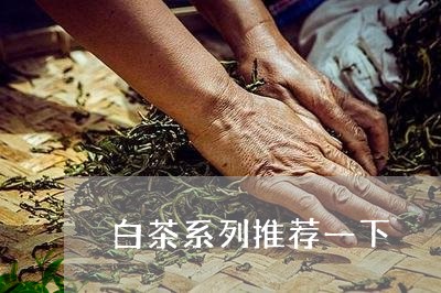 白茶系列推荐一下/2023080347370