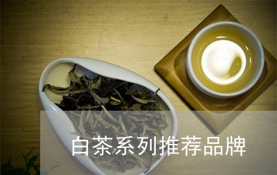 白茶系列推荐品牌/2023080331639