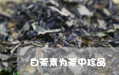 白茶素为茶中珍品/2023080393959