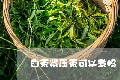 白茶紧压茶可以煮吗/2023072446251