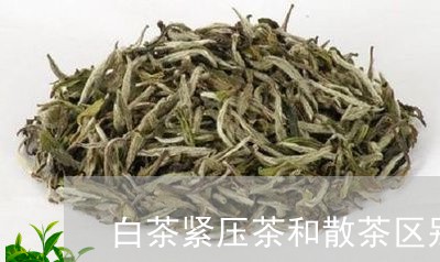 白茶紧压茶和散茶区别大吗/2023110737461