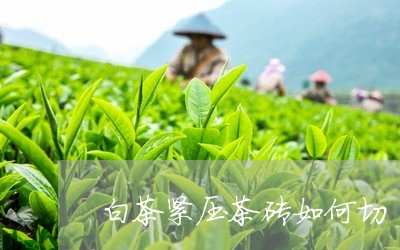 白茶紧压茶砖如何切/2023072488472