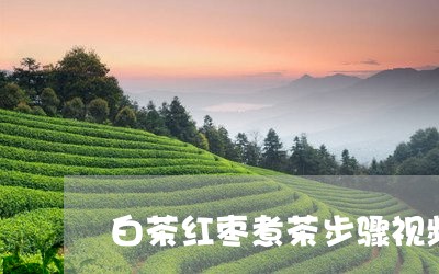 白茶红枣煮茶步骤视频/2023100697050