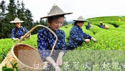 白茶红茶可以一起泡吗/2023100695937