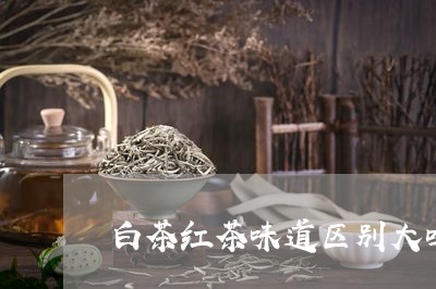 白茶红茶味道区别大吗/2023100677048