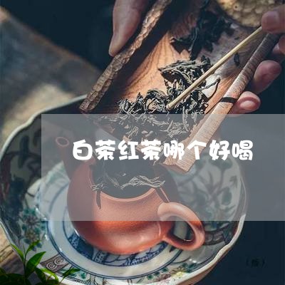 白茶红茶哪个好喝/2023080317259