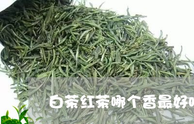 白茶红茶哪个香最好喝/2023100659492