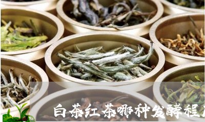 白茶红茶哪种发酵程度最低/2023110607171