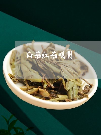 白茶红茶暖胃/2023052012616