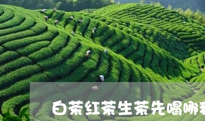 白茶红茶生茶先喝哪种/2023100652603