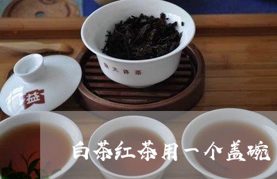 白茶红茶用一个盖碗/2023072445149