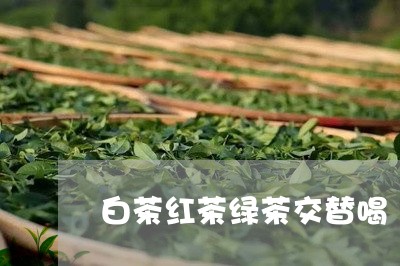 白茶红茶绿茶交替喝/2023072462725