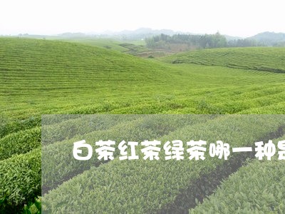 白茶红茶绿茶哪一种是武夷茶/2023111469471