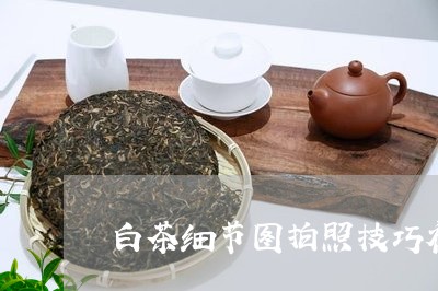 白茶细节图拍照技巧视频/2023110130825