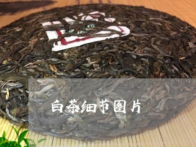 白茶细节图片/2023052236393