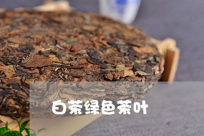 白茶绿色茶叶/2023052292614