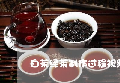 白茶绿茶制作过程视频讲解/2023110865835