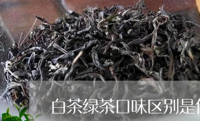 白茶绿茶口味区别是什么/2023110116360