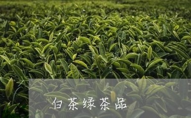 白茶绿茶品/2023051045946