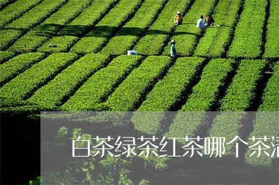 白茶绿茶红茶哪个茶清火/2023110189515