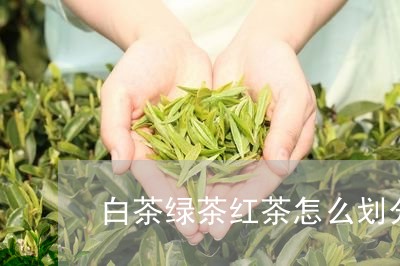 白茶绿茶红茶怎么划分时间/2023110877372