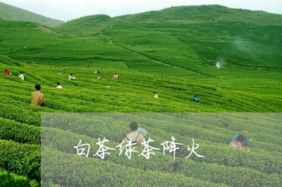 白茶绿茶降火/2023052012717