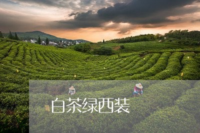 白茶绿西装/2023051052826