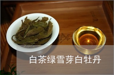 白茶绿雪芽白牡丹/2023090598581