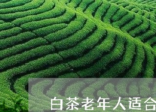 白茶老年人适合饮用吗对吗/2023110824724