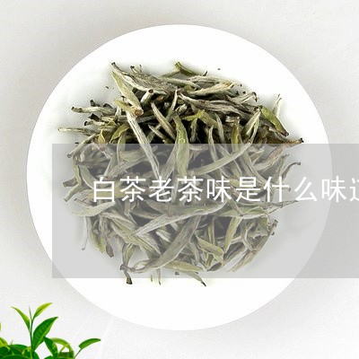 白茶老茶味是什么味道/2023100723357