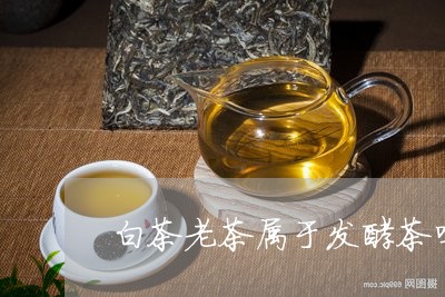 白茶老茶属于发酵茶吗为什么/2023111458260