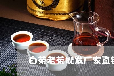 白茶老茶批发厂家直销/2023100729724