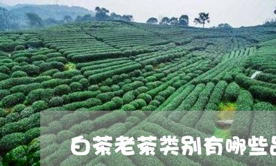 白茶老茶类别有哪些品牌/2023110110593