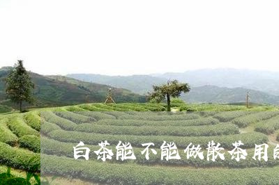 白茶能不能做散茶用的茶叶/2023111534169