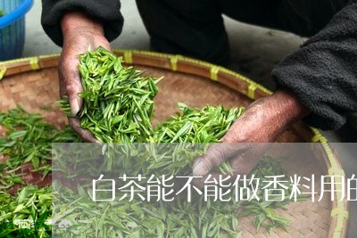 白茶能不能做香料用的茶叶/2023110801526