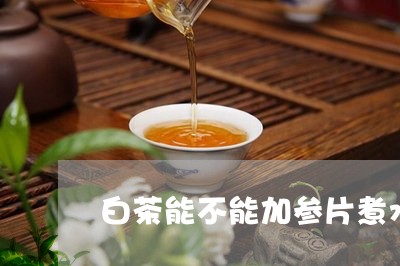 白茶能不能加参片煮水/2023100779493