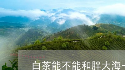 白茶能不能和胖大海一起泡/2023110837473