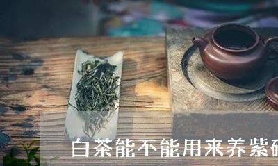 白茶能不能用来养紫砂壶/2023110144926