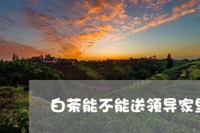 白茶能不能送领导家里呢/2023110197157