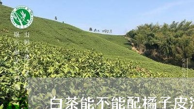 白茶能不能配橘子皮泡水/2023110140814