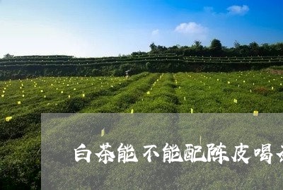 白茶能不能配陈皮喝茶/2023100730525