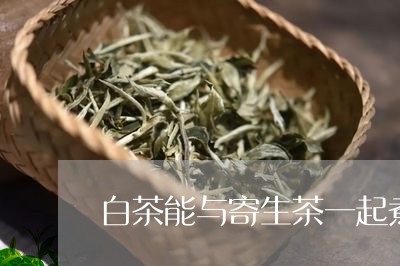 白茶能与寄生茶一起煮吗/2023110191815