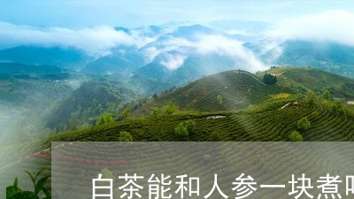 白茶能和人参一块煮吗/2023100745373